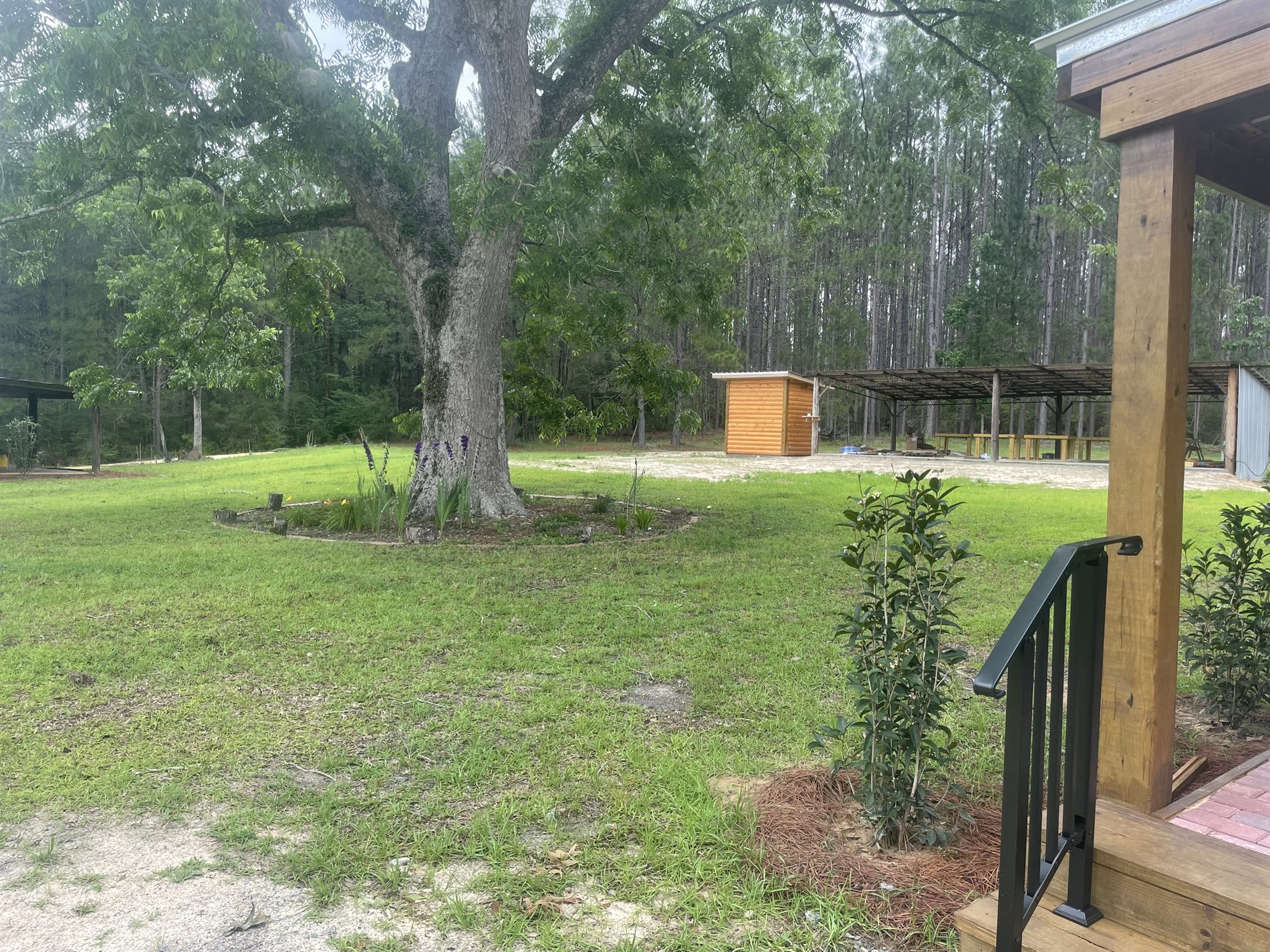 Cabin porch view toward private nature trail and forest bathing area
