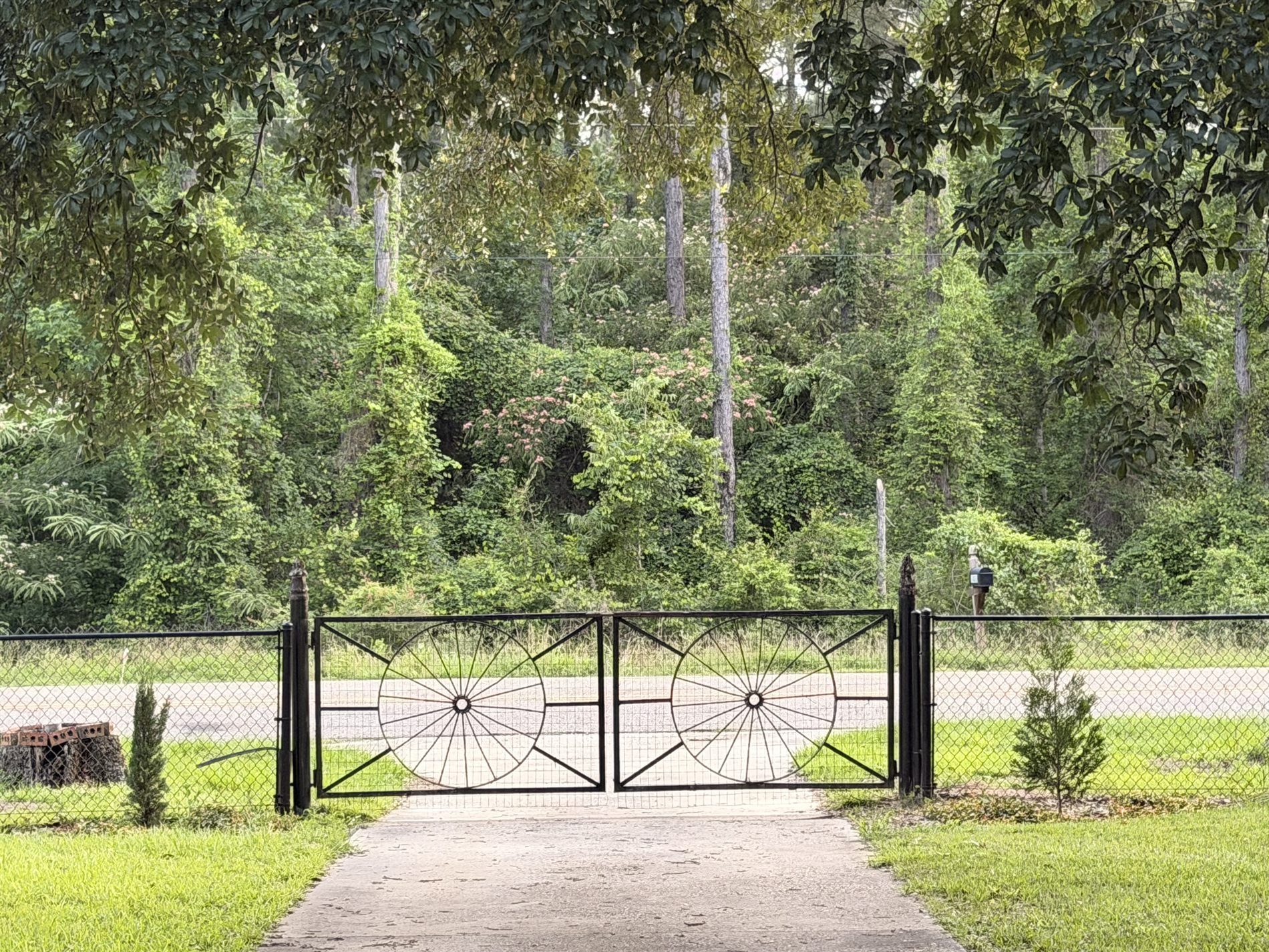 Rustic JaxFarm entrance gate and forest driveway in Andalusia Alabama