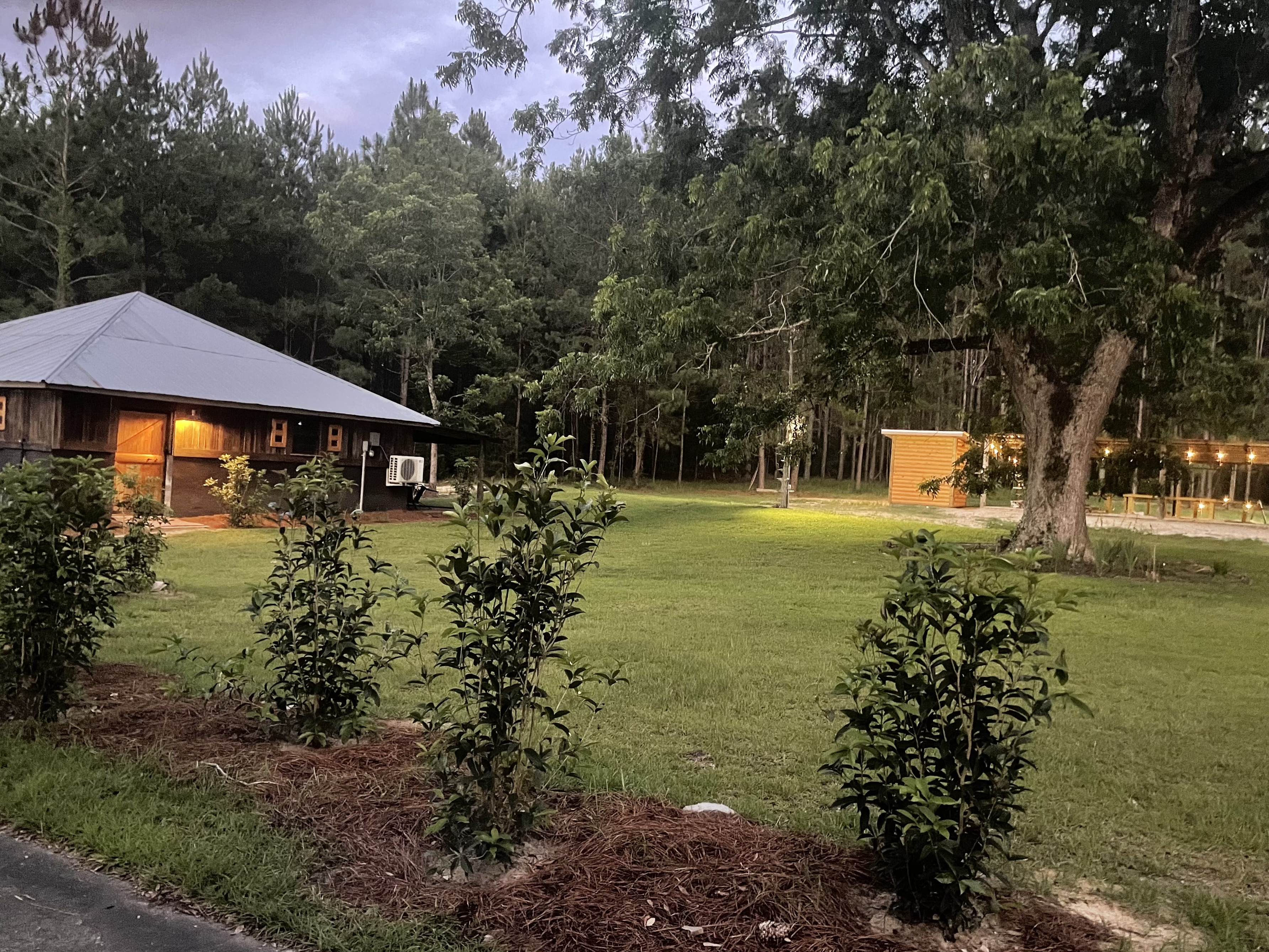 Cabin retreat grounds with outdoor lighting and forest scenery