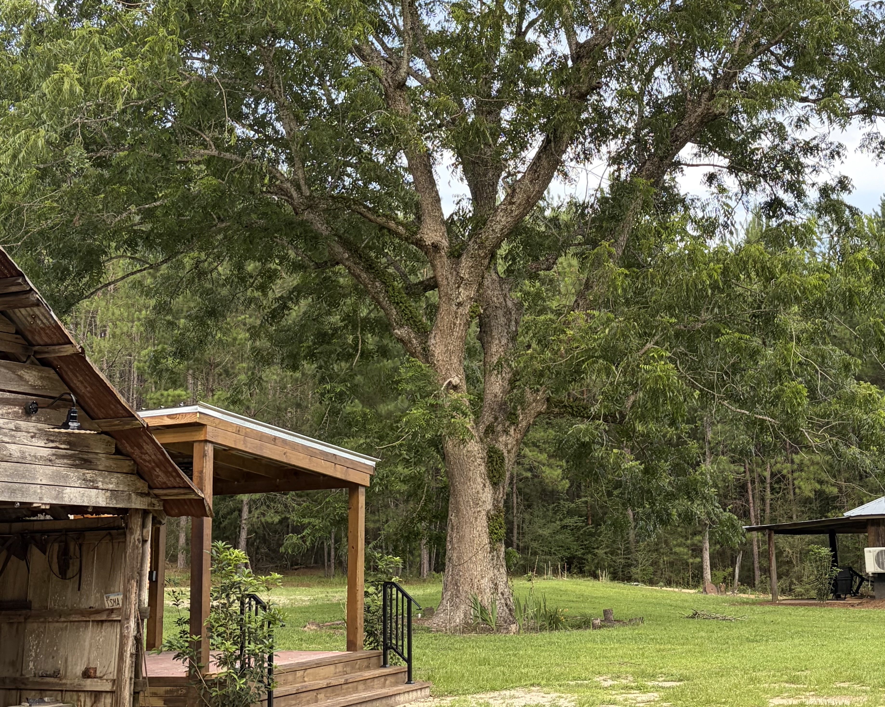 Large heritage tree and barn porch at South Alabama event venue