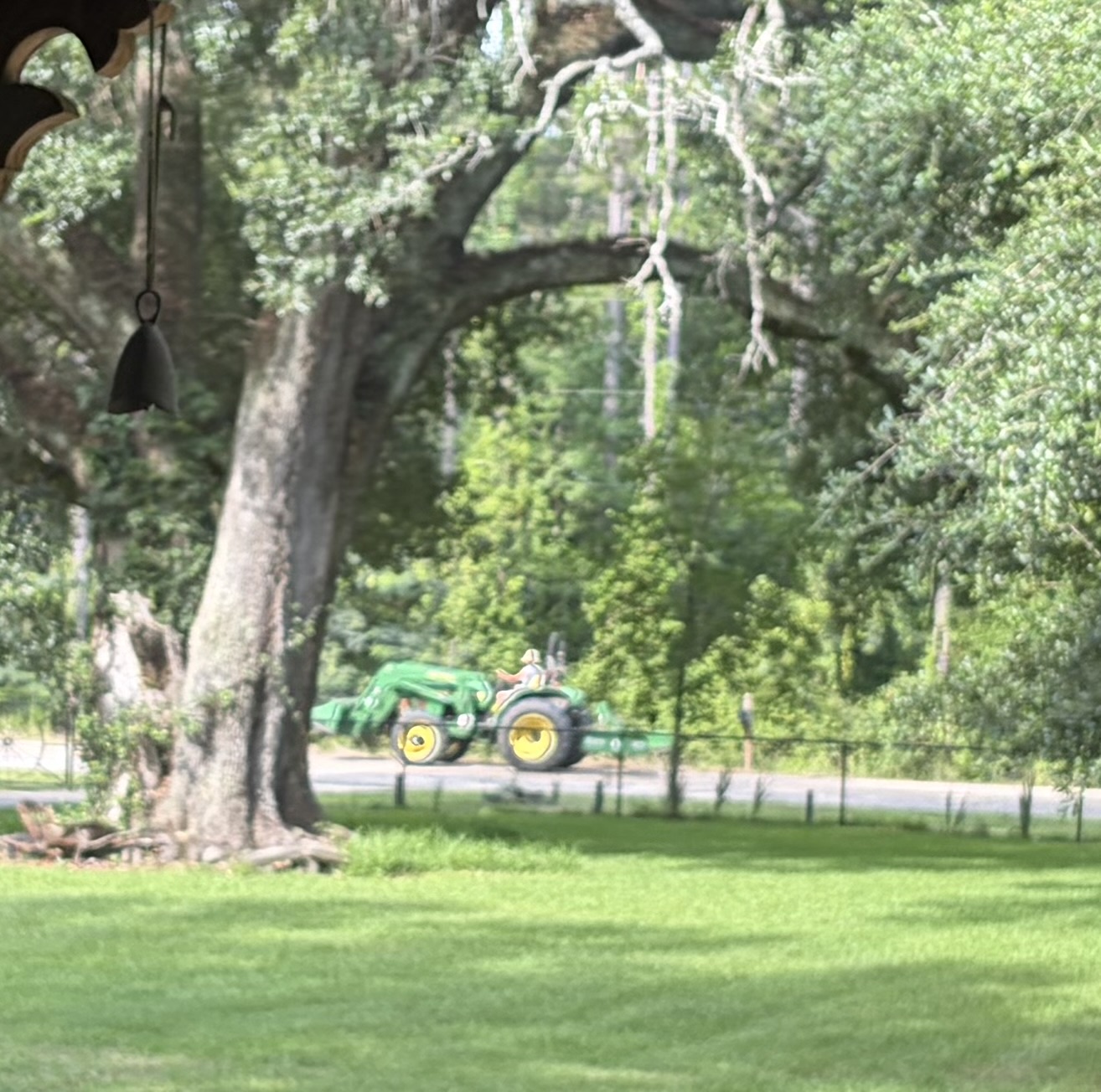 Large tree and lawn area near Rustic JaxFarm driveway