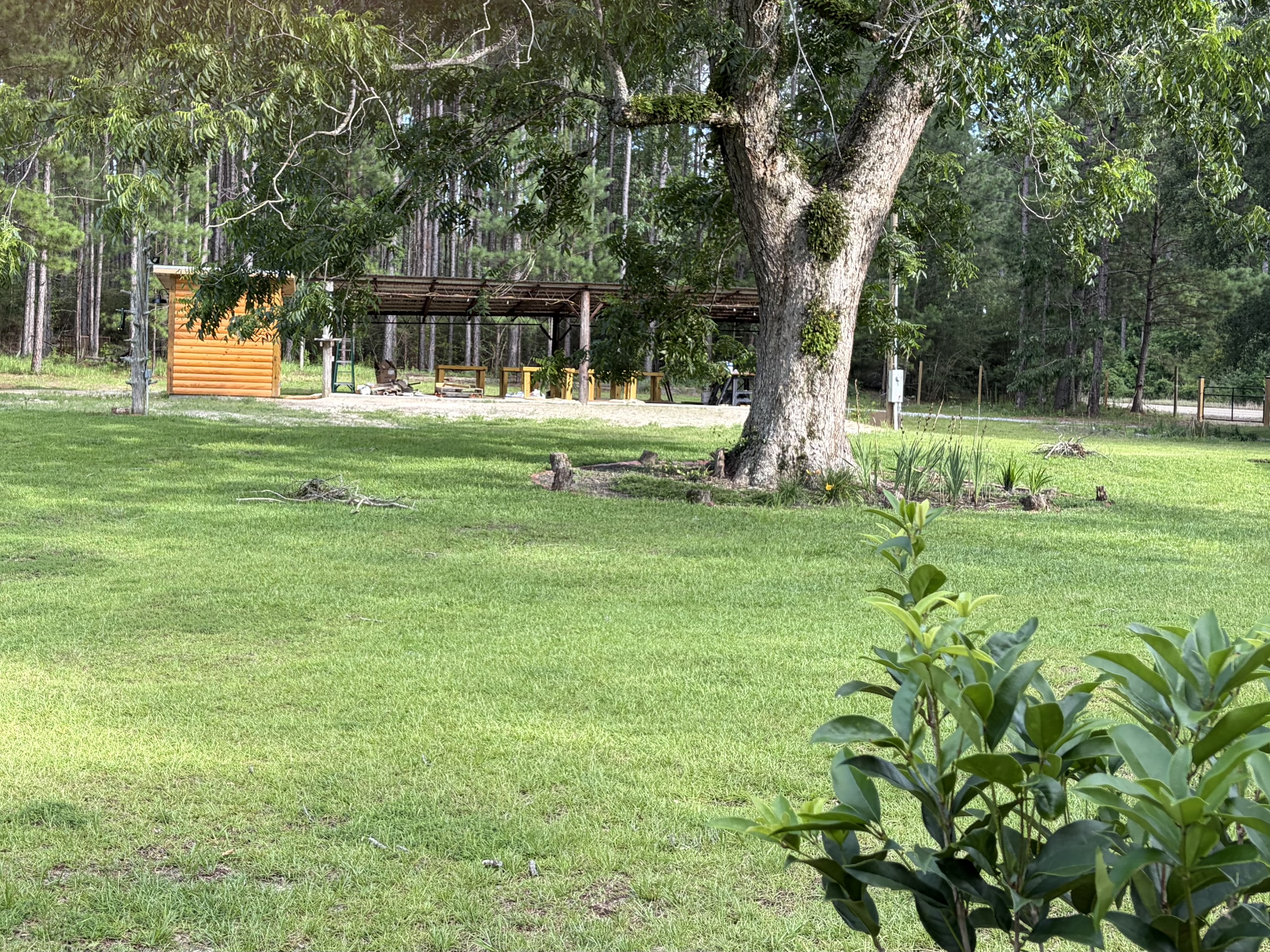 Open lawn and heritage tree for outdoor ceremonies and photo sessions