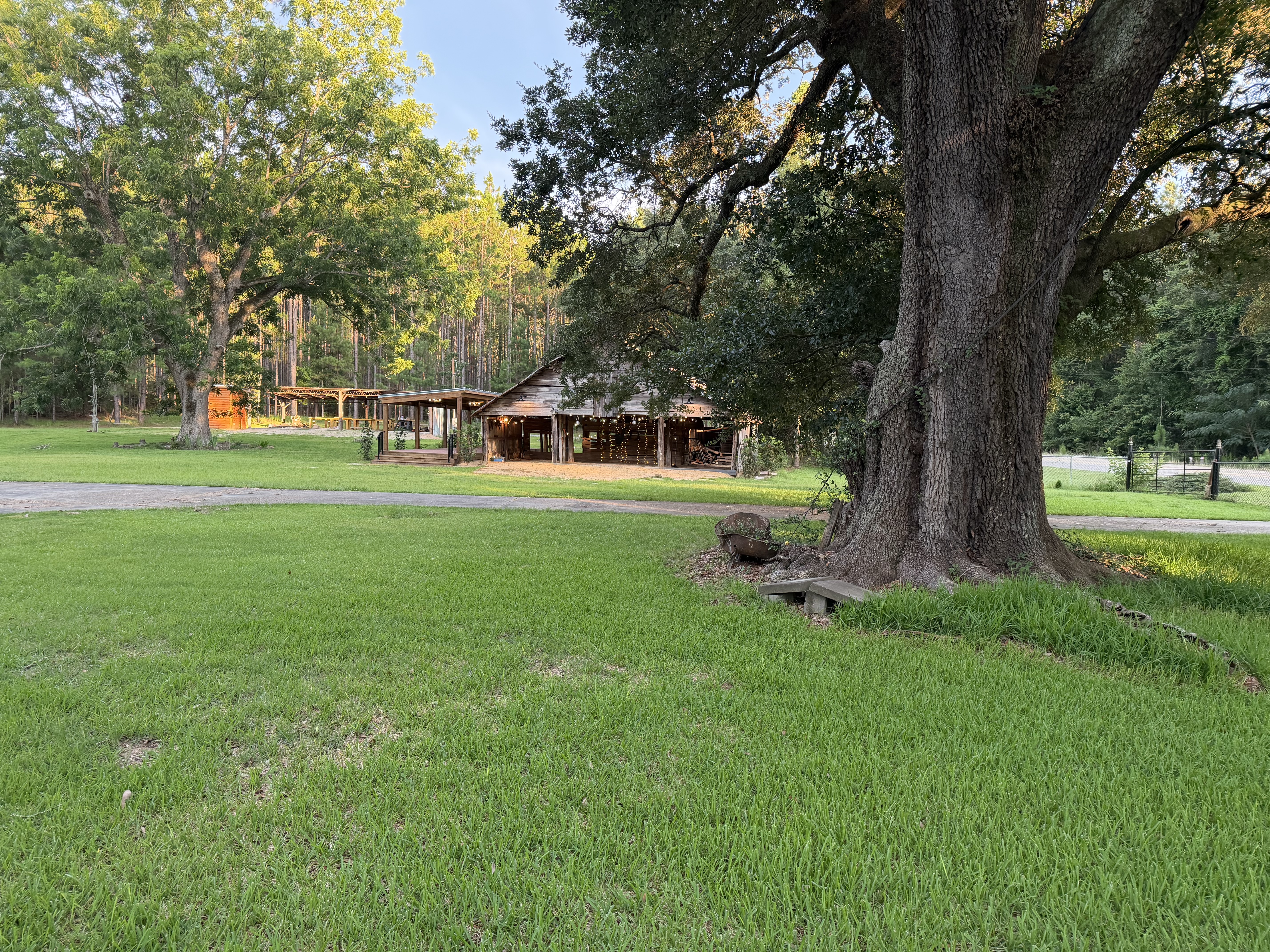 Outdoor event venue lawn with heritage tree and barn near Conecuh National Forest