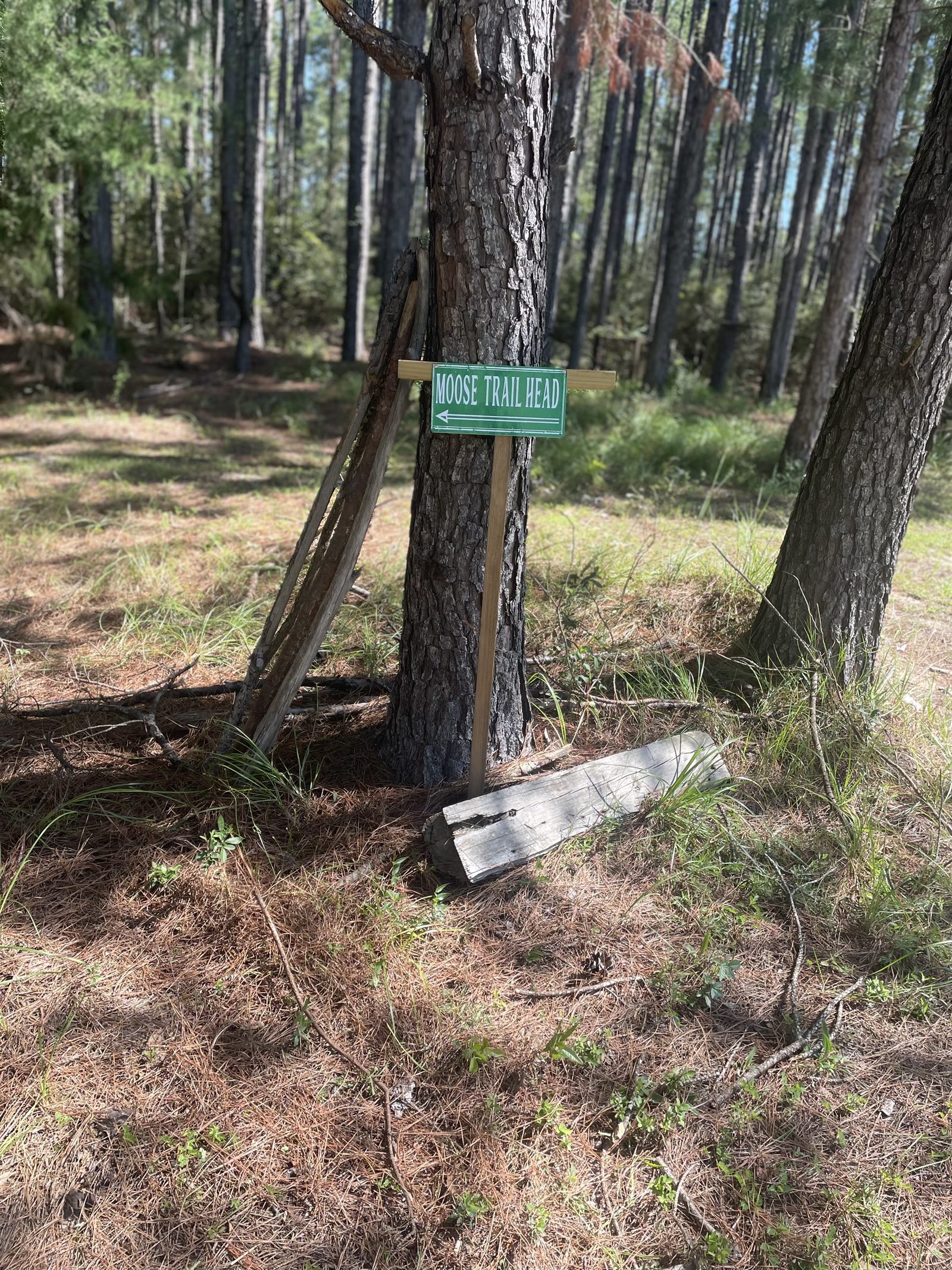 Private walking trailhead sign for forest bathing retreats and nature walks at Rustic JaxFarm