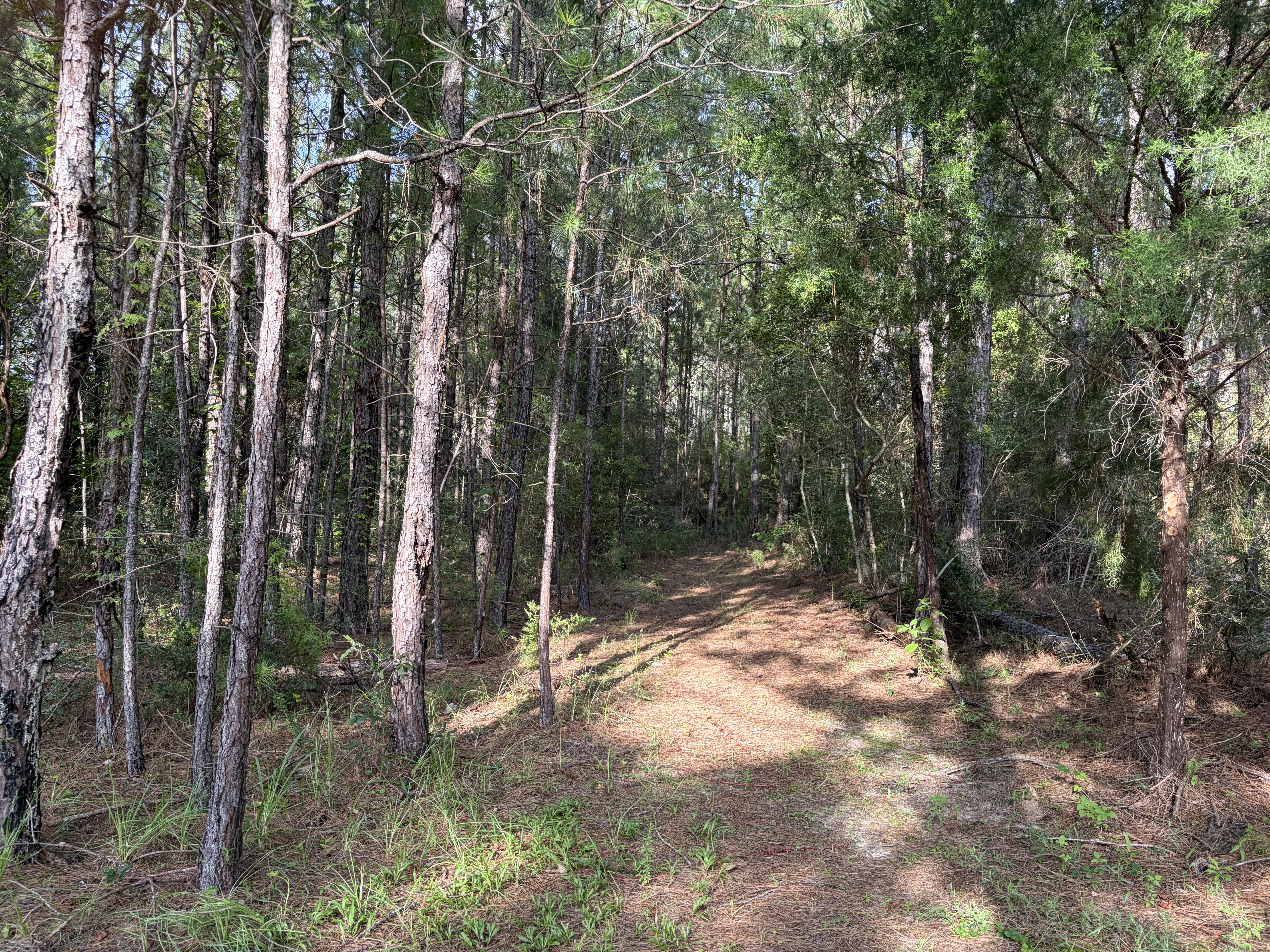 Wooded private nature trail for retreats and nature photography